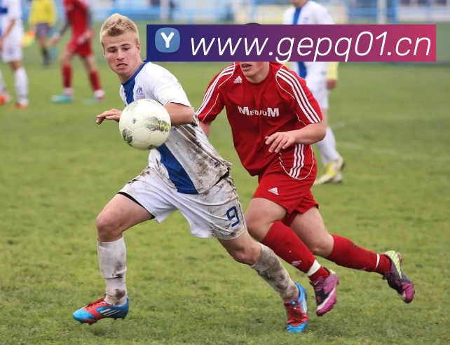 App Interface Preview